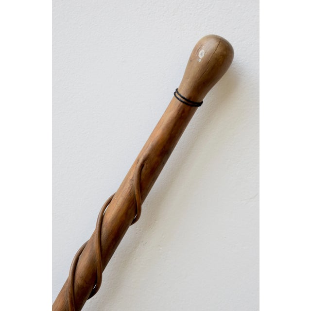 Antique Cane With Steam Bent Spiraling Branch Detail, Circa Early 20th Century For Sale - Image 4 of 16