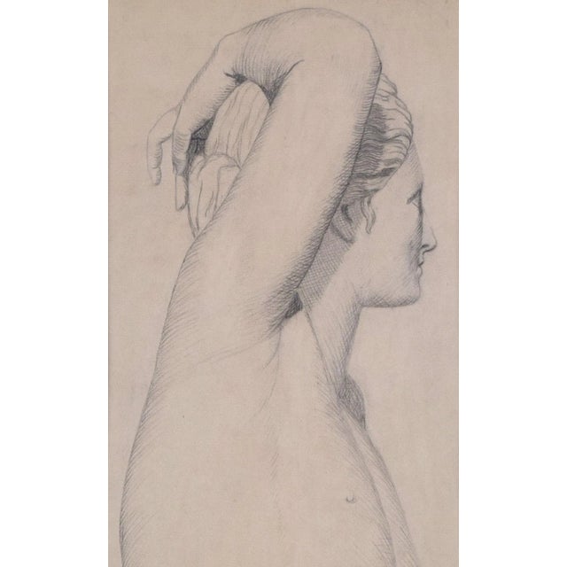 1930s Vintage Neoclassical Graphite Drawing of a Marble Statue New York 1930 For Sale - Image 5 of 8