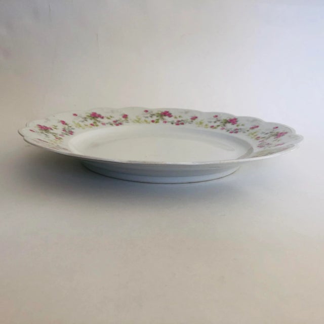 1900’s Rose Pattern Fine China 9.75”D Plate, makers mark reads “ M.Z. Austria “ in excellent condition.