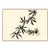 Maypop II by Susan Hable For Sale