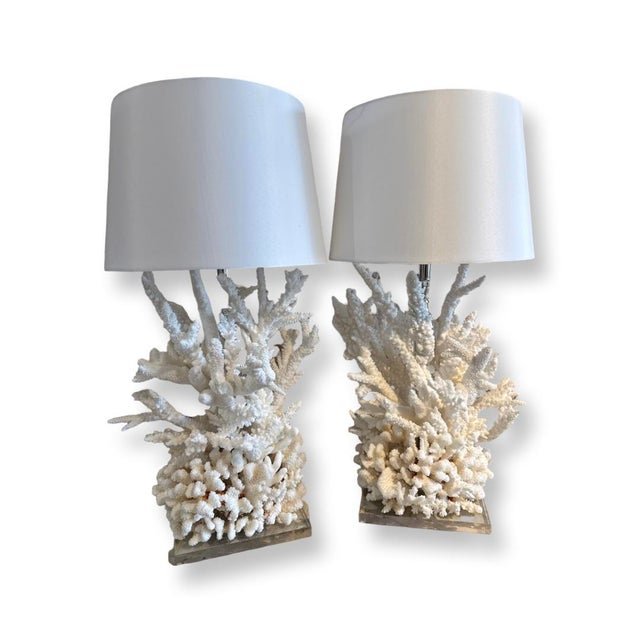 Vintage Wonderful Coral Lamps - A Pair For Sale - Image 4 of 6