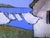 Miniature Coast Cottage Clothesline Laundry Art 4X4 Lynne French Landscape oil painting by Lynne French. The signed...