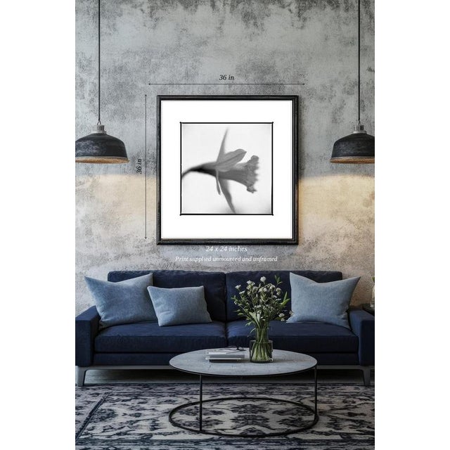 Not Yet Made - Made To Order Paul Cooklin, Daffodil, Edition of 50 For Sale - Image 5 of 5
