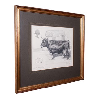 Vintage Irish Dexter Cow Proof, English, Framed Artist's Sketch, Barry Driscoll For Sale