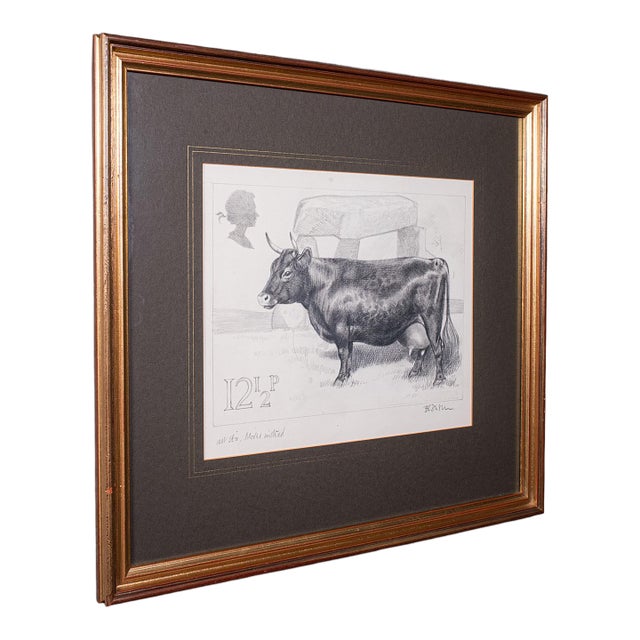 Vintage Irish Dexter Cow Proof, English, Framed Artist's Sketch, Barry Driscoll For Sale