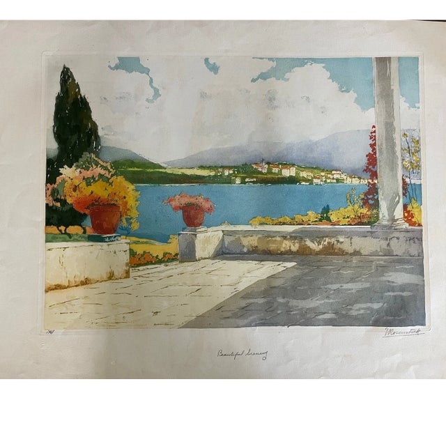 Early 20th Century Early 20th Century Isidore Rosenstock Signed Aquatint - "Beautiful Scenery" Terrace Landscape 21x27 For Sale - Image 5 of 12
