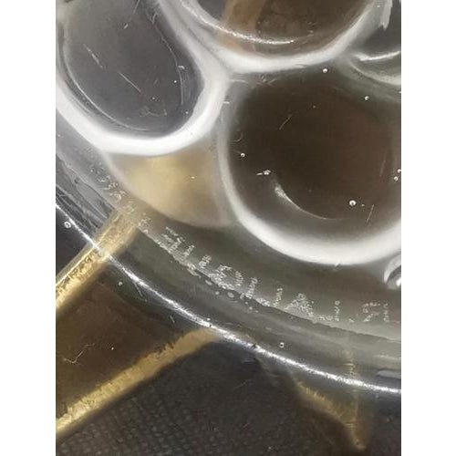 Art Deco Marienthal Brunch or Dessert Glass Plates by Rene Lalique, France, 1927, Set of 8 For Sale - Image 10 of 12