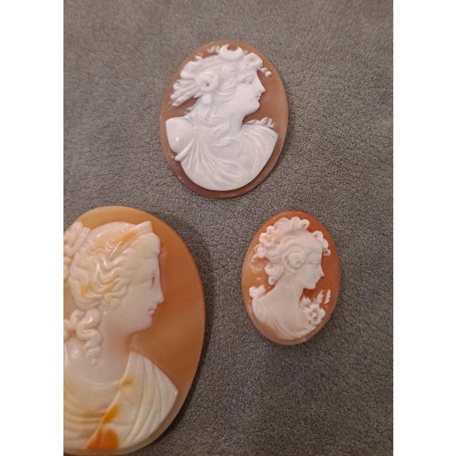 Group of 3 High Relief Cameos Carved From Bullmouth Shell For Sale - Image 4 of 5