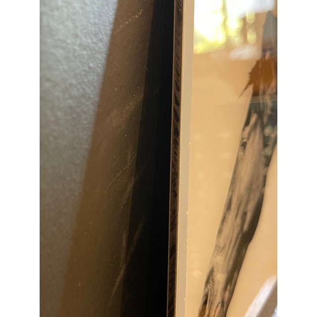 Black & White Photograph of Horse on Plexiglass For Sale - Image 4 of 4