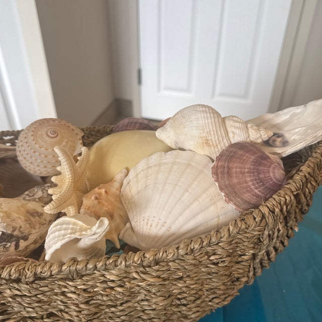 Noah’s Ark Coastal Centerpiece: Woven Boat Basket Overfilled With Sea Shells For Sale - Image 4 of 11