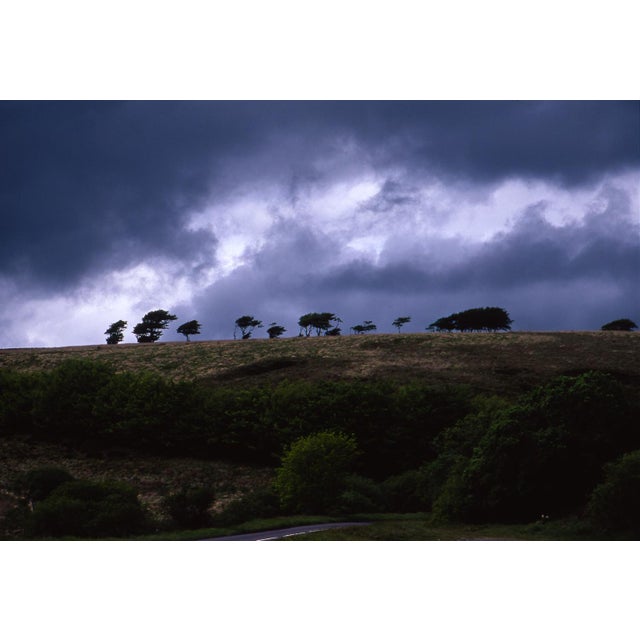Fine art Giclee prints on Hahnemuhle Photo Rag 308gsm - a 100% cotton, acid-free, mould-made paper. Printed to Fine Art...