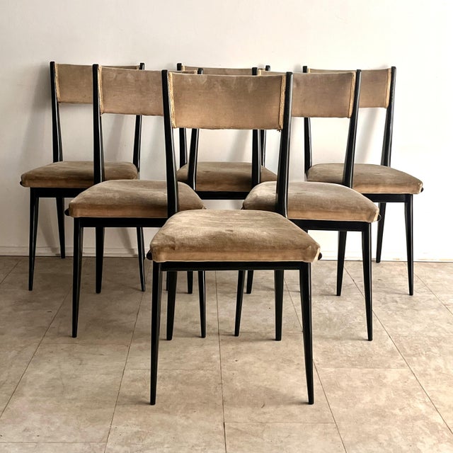 Mid-Century Modern Dining Chairs in Black Lacquered Wood and Velvet attributed to Silvio Cavatorta, Italy, 1950s, Set of 6 For Sale - Image 3 of 12