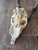 2000 - 2009 Rustic Blackbuck Skull For Sale - Image 5 of 11
