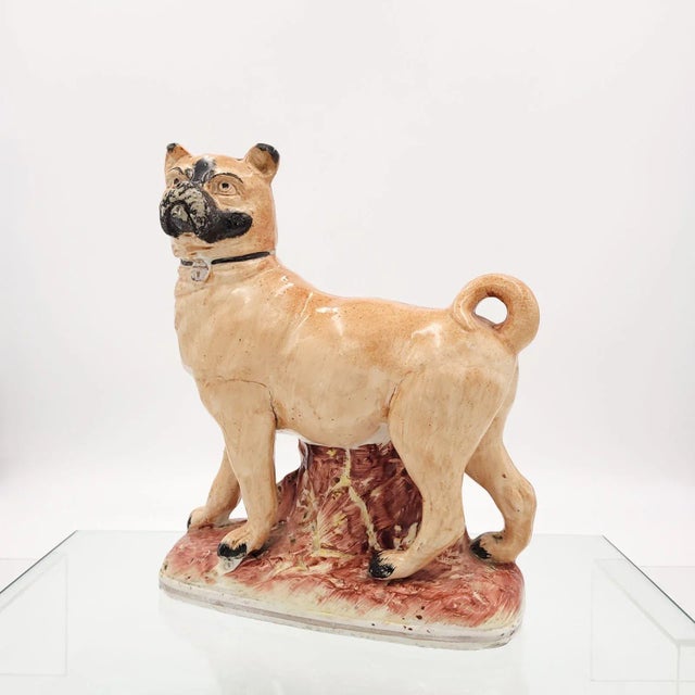 English 1850 Large Staffordshire Pug, England For Sale - Image 3 of 11
