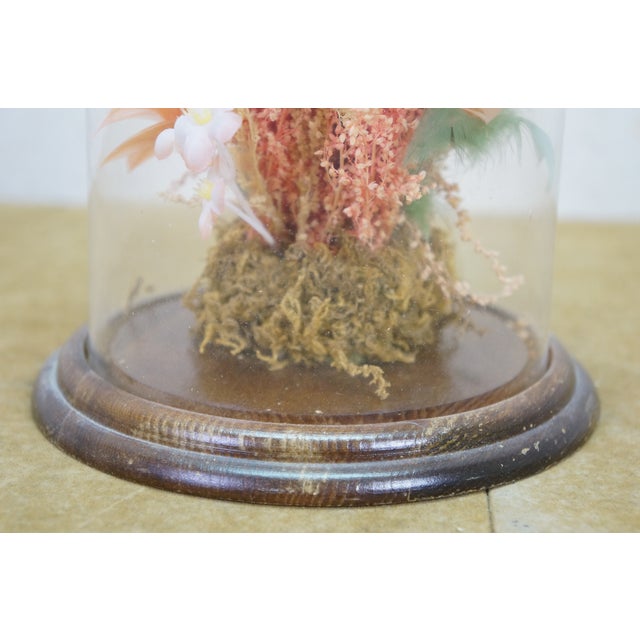Late 20th Century Floral Butterfly Diorama Taxidermy Display Apothecary Cloche Dome 12" For Sale - Image 9 of 14