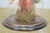 Late 20th Century Floral Butterfly Diorama Taxidermy Display Apothecary Cloche Dome 12" For Sale - Image 9 of 14