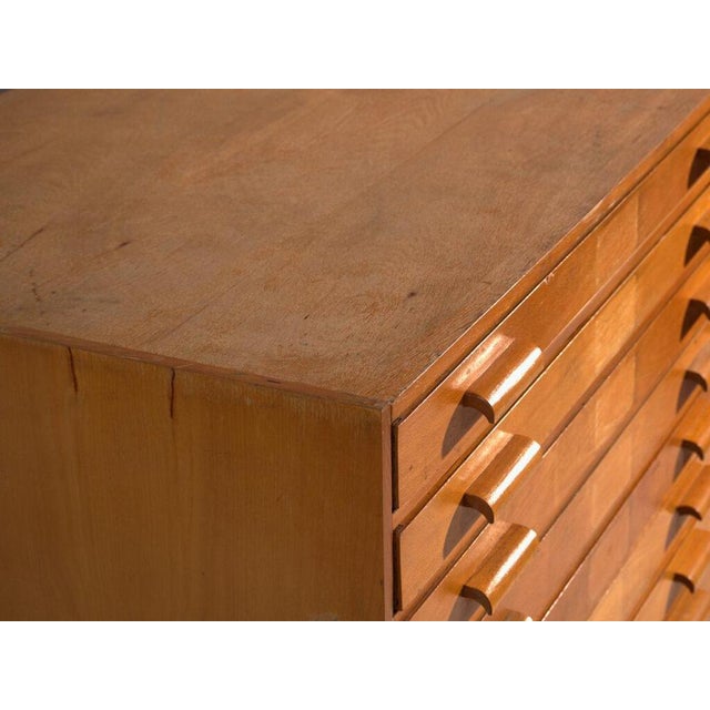 Vintage Plan Chest in Beech Wood, Central Europe, 1960 For Sale - Image 4 of 14