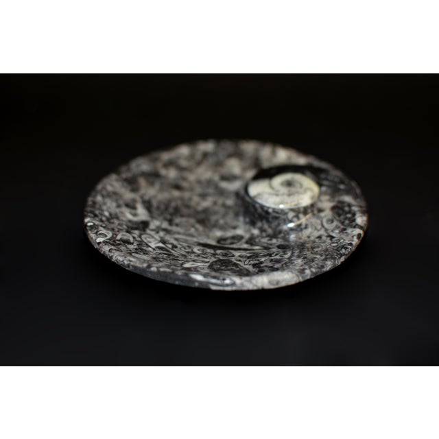 Black Pair Ammonite Plates Fossil Millions Years Natural Finely Crafted For Sale - Image 8 of 13