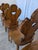 Brown Farmhouse Tyrolean Chair with Heart Cutout Back, 1970s, Set of 8 For Sale - Image 8 of 18