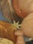 Nude Figurative Composition, 1790, Oil Painting on Canvas, Framed For Sale - Image 8 of 18