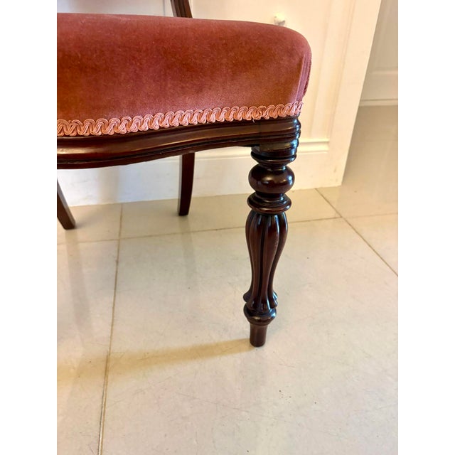 Antique Victorian Mahogany Dining Chairs with Tulip Legs, 1860, Set of 6 For Sale - Image 11 of 13