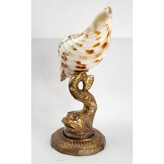Brass Seashell Shell Specimen Sculpture on Antique Brass Koi Fish Base For Sale - Image 8 of 10