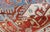 Red, Blue, and Ivory Antique Persian Malayer Rug With Blossom Design 4' X 6'9 For Sale - Image 10 of 10