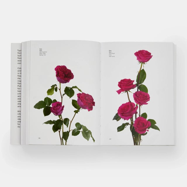 Flower Color Guide For Sale In New York - Image 6 of 7