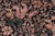 Art Nouveau 1990's Pak-Persian Black/Beige Wool Rug - 8'1'' X 9'8'' For Sale - Image 4 of 9