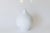 Mid Century Matte White Porcelain Botanical Vase by Ak Kaiser West Germany For Sale - Image 12 of 12