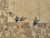 2000 - 2009 Chinese Art Deco Rug in Wool For Sale - Image 5 of 10