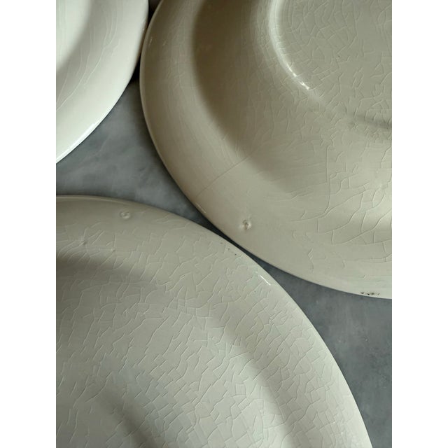 Set of 6 Vintage Fair Oaks Small Plates by Royal China For Sale - Image 10 of 10