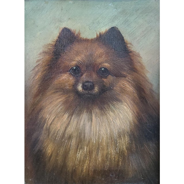 Small original antique oil painting of a Pomeranian dog. Late 19th to early 20th century. The medium is oil on canvas....