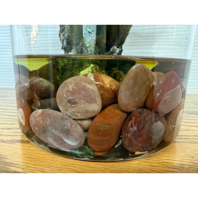 Artificial Philodendron Xanadu Plant + Clear Glass Vase For Sale In San Francisco - Image 6 of 12