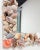 Late 20th Century Vintage Large Shell Encrusted Wall Mirror For Sale - Image 5 of 8