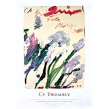 Cy Twombly Original 2002 Royal Botanic Garden Edinburgh Exhibition Poster For Sale