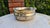 Metal Silver-Plated Brass Bowl, 1940s For Sale - Image 7 of 7