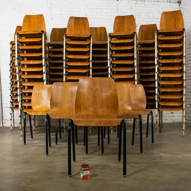 Late 20th to Early 21st Century Modern Walnut Molded Plywood Chairs Stackable Connectable Restored Selling Separately For Sale - Image 17 of 18