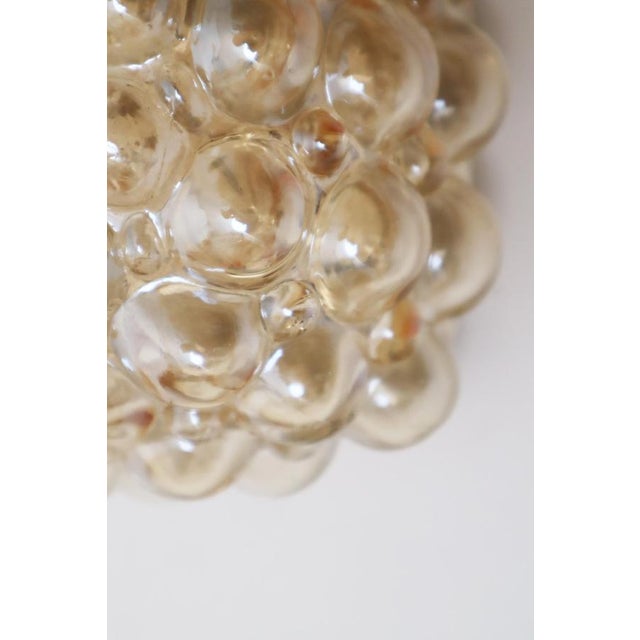 Golden Bubble Wall Light with Glass by Helena Tynell for Glashütte Limburg, 1960s For Sale - Image 10 of 17