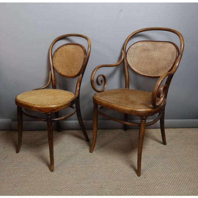 Chairs and Armchairs by Michael Thonet for Thonet, 1890s, Set of 11 For Sale - Image 9 of 10