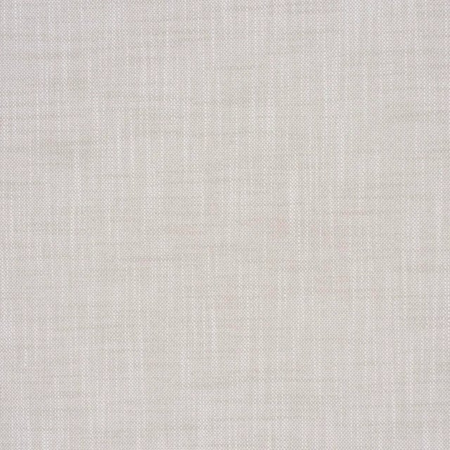 Contemporary SAMPLE - Schumacher Sasha Indoor/Outdoor Fabric In Grey For Sale - Image 3 of 3