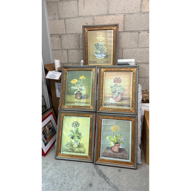This set of 5 beautifully framed botanical prints from original gouche paintings are by Spanish artist Jose Escofet, and...