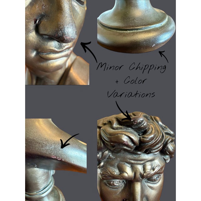 Vintage 1966 Austin Productions David Bust-Michelangelo-Faux Bronze-Classical For Sale - Image 9 of 10