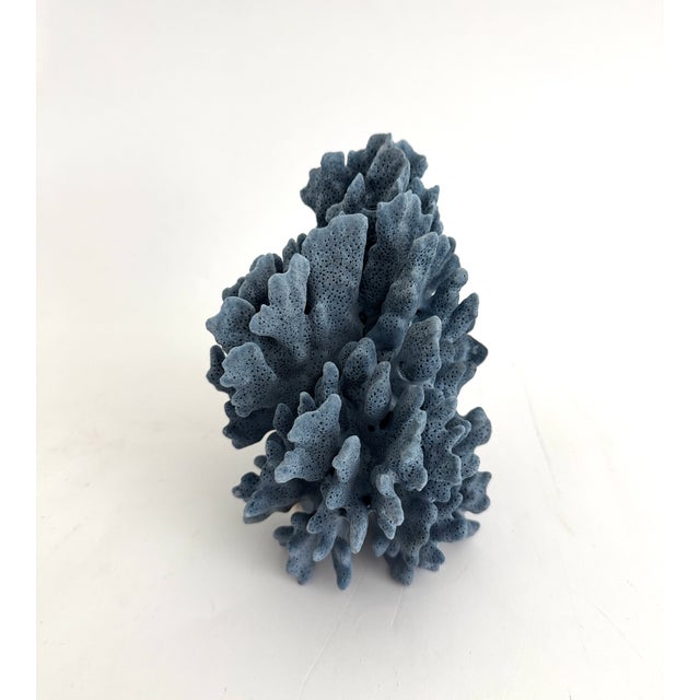 Blue Natural Blue Coral Specimen For Sale - Image 8 of 8
