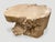 Andrianna Shamaris Organic Bleached Teak Wood Coffee Table or Side Table For Sale - Image 10 of 18