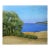 Pacific Bluffs Lynne French 8x8 California Landscape Seascape Oil Painting For Sale