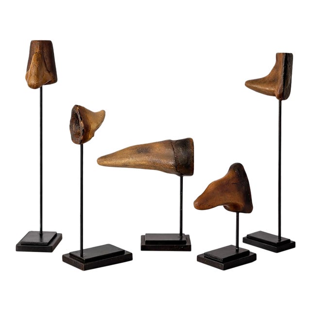 Sculptural Mounted Cast Resin Anatomical Noses on Stands - Set of 5 For Sale