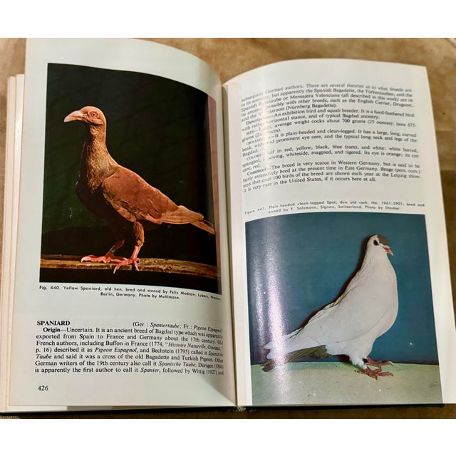 Wendell M. Levi Encyclopedia of Pigeon Breeds Hardcover Illustrated 1965 For Sale In Tampa - Image 6 of 8