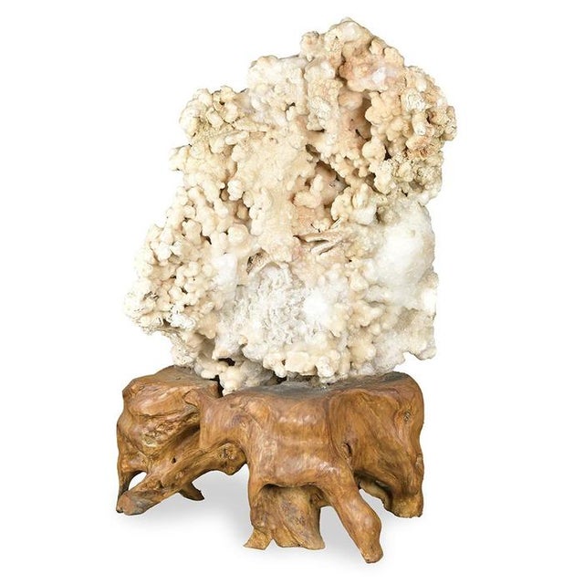Calcite Concretion on Teak Root Base For Sale - Image 6 of 9