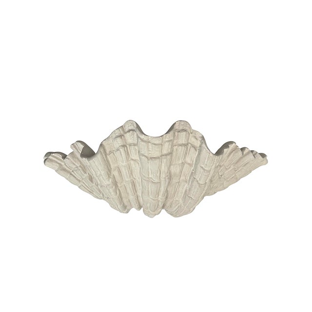 Large Vintage Plaster Organic Sea Shell Wall Light, 1970s For Sale - Image 10 of 10
